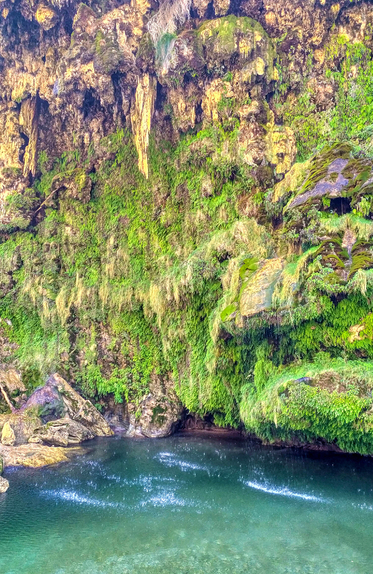 Sa Stiddiosa