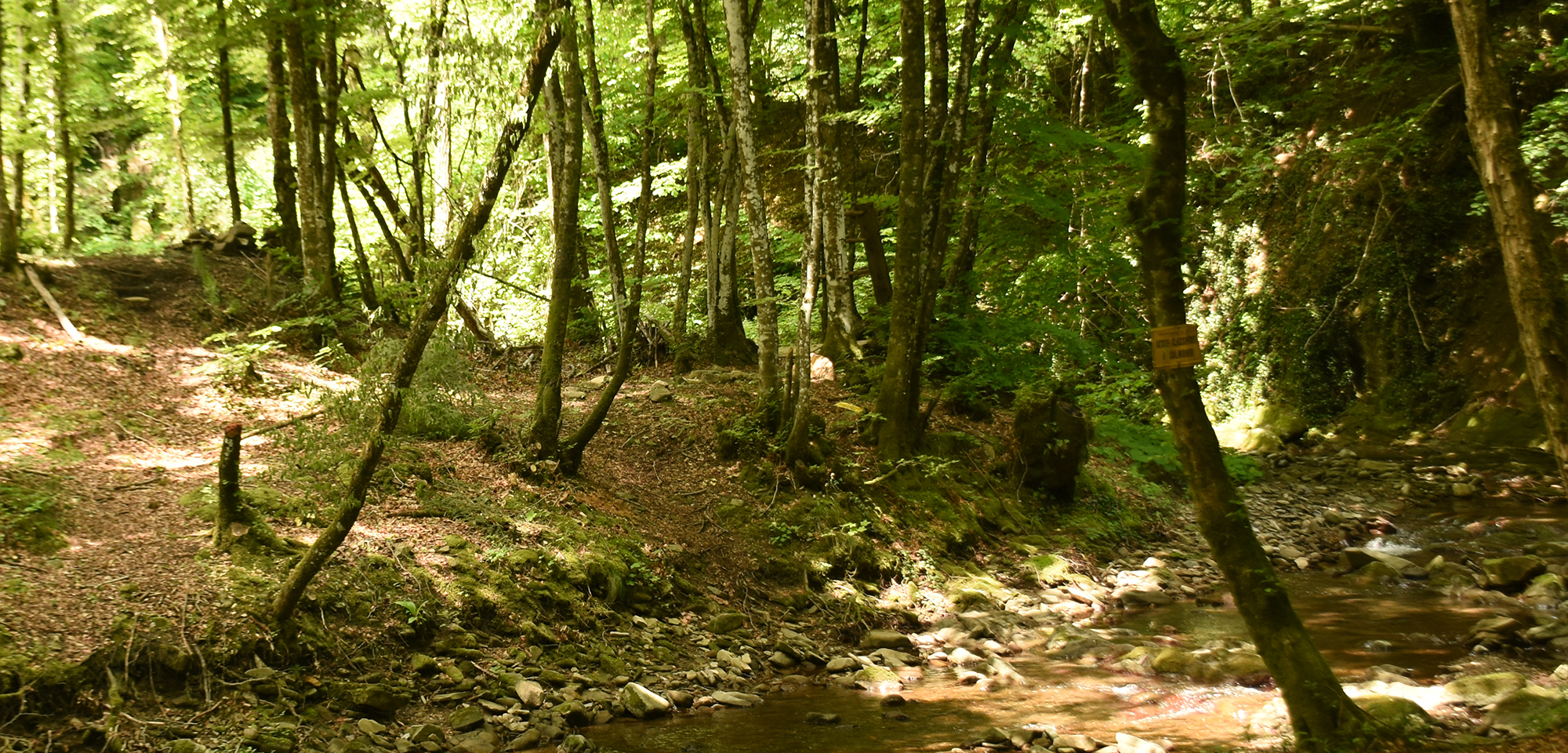 I suoni verso fonte al romito